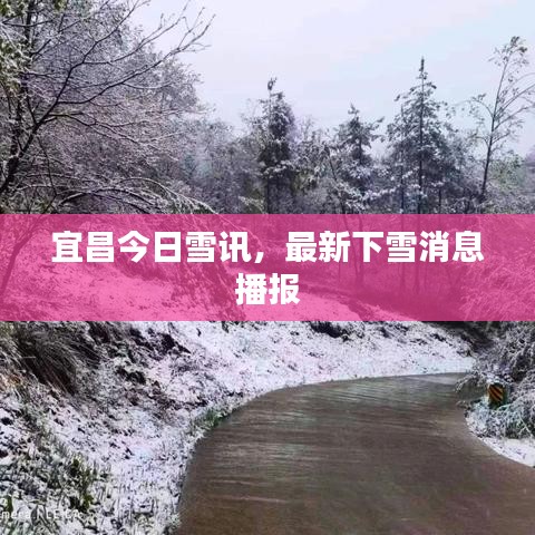 宜昌今日雪讯,最新下雪消息播报