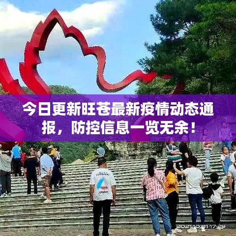 今日更新旺苍最新疫情动态通报,防控信息一览无余!