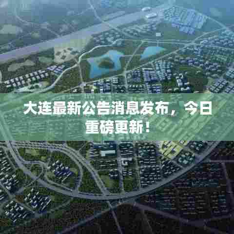 大连最新公告消息发布,今日重磅更新!