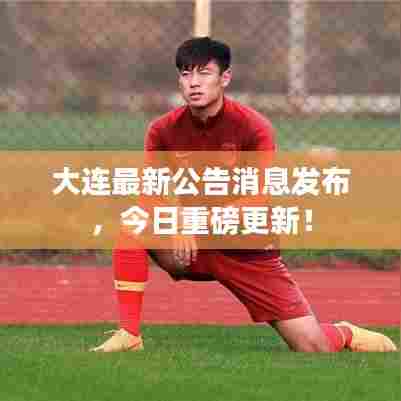 大连最新公告消息发布,今日重磅更新!