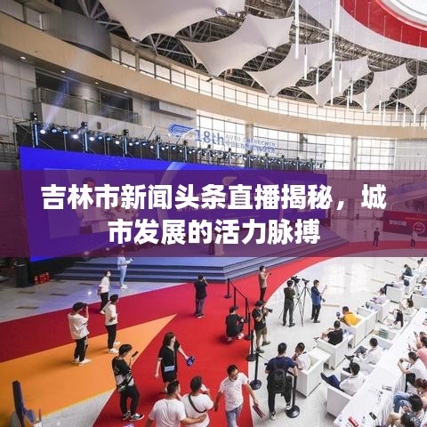 吉林市新闻头条直播揭秘,城市发展的活力脉搏