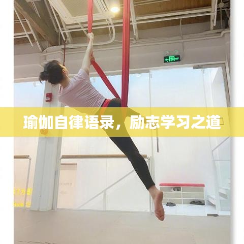 瑜伽自律语录,励志学习之道