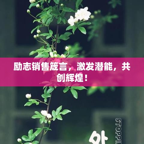 励志销售箴言,激发潜能,共创辉煌!