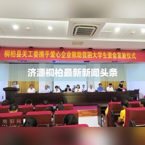 济源桐柏最新新闻头条