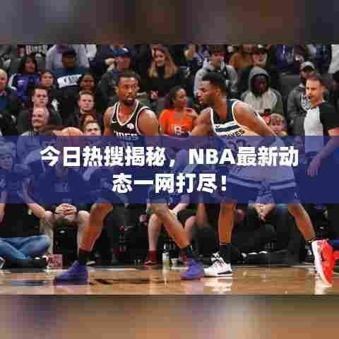今日热搜揭秘,NBA最新动态一网打尽!