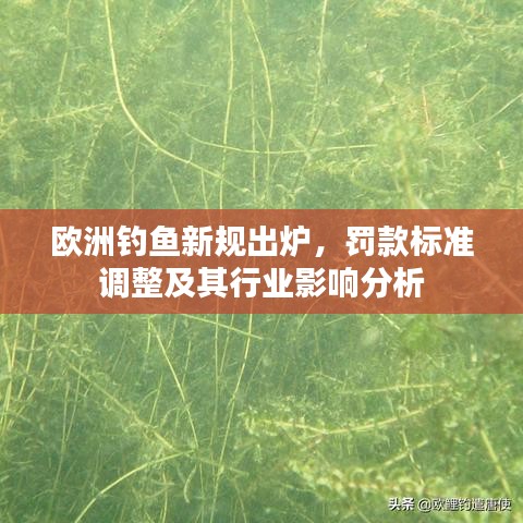 欧洲钓鱼新规出炉,罚款标准调整及其行业影响分析