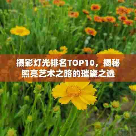 摄影灯光排名TOP10,揭秘照亮艺术之路的璀璨之选