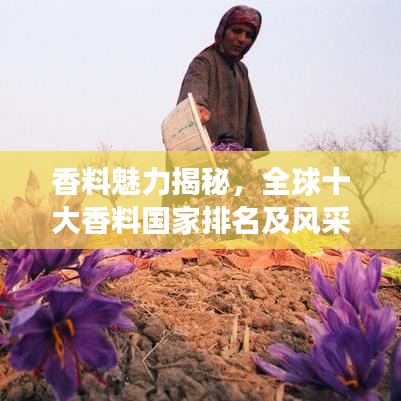香料魅力揭秘,全球十大香料国家排名及风采展示