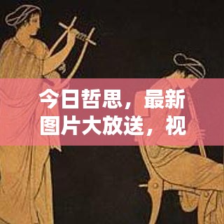 今日哲思,最新图片大放送,视觉盛宴不容错过