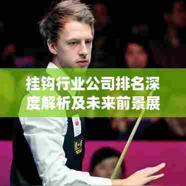 挂钩行业公司排名深度解析及未来前景展望