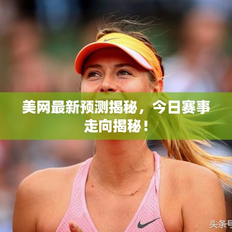 美网最新预测揭秘,今日赛事走向揭秘!