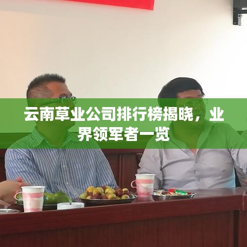 云南草业公司排行榜揭晓，业界领军者一览
