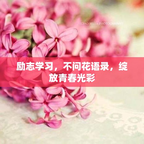 励志学习,不问花语录,绽放青春光彩