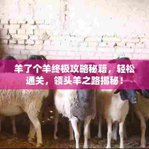 羊了个羊终极攻略秘籍,轻松通关,领头羊之路揭秘!