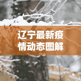 辽宁最新疫情动态图解析，今日最新数据报告