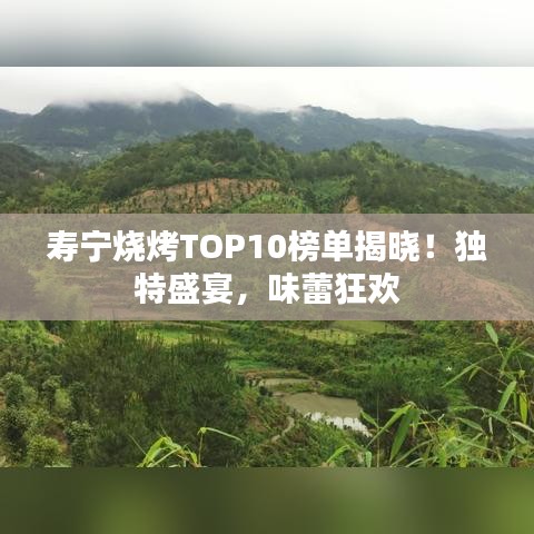 寿宁烧烤TOP10榜单揭晓！独特盛宴，味蕾狂欢