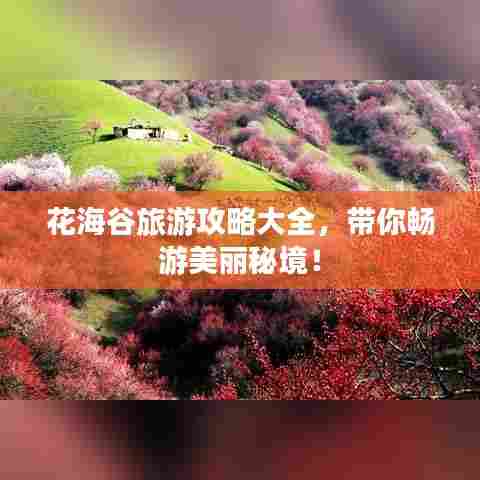 花海谷旅游攻略大全,带你畅游美丽秘境!