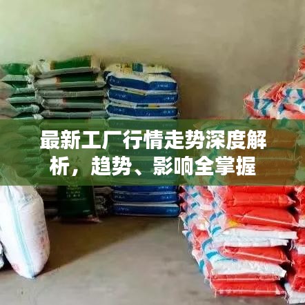 最新工厂行情走势深度解析,趋势、影响全掌握