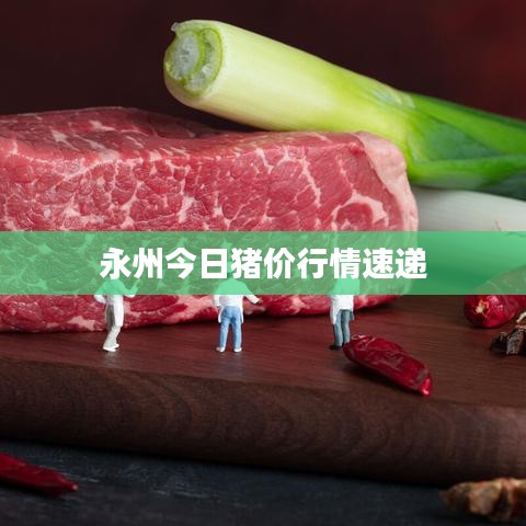 永州今日猪价行情速递