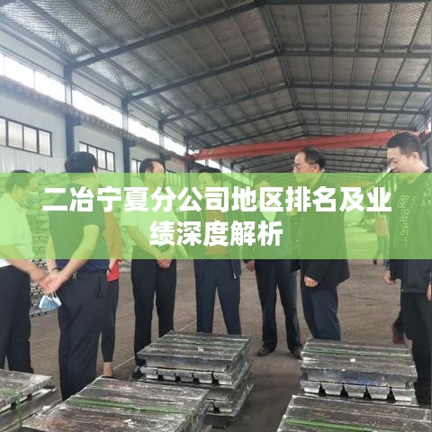 二冶宁夏分公司地区排名及业绩深度解析