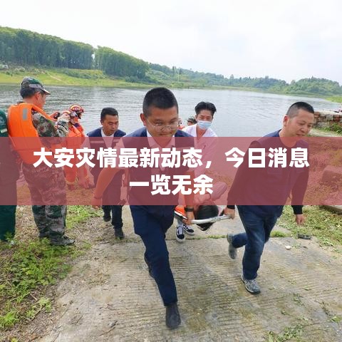 大安灾情最新动态,今日消息一览无余