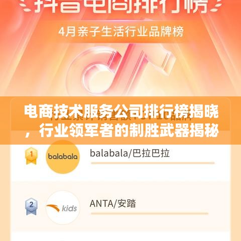 电商技术服务公司排行榜揭晓,行业领军者的制胜武器揭秘!