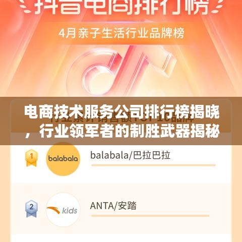 电商技术服务公司排行榜揭晓,行业领军者的制胜武器揭秘!