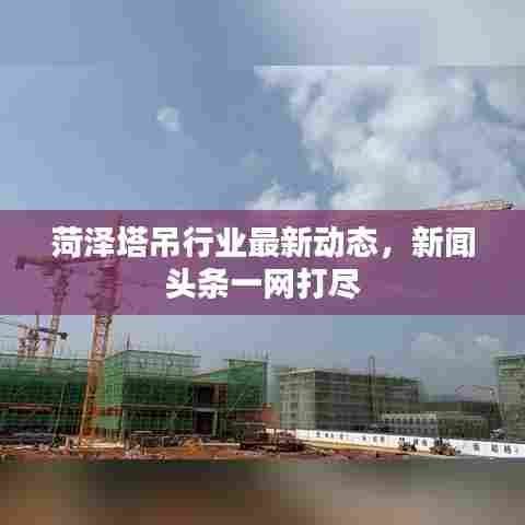 惊弦之鸟 第6页