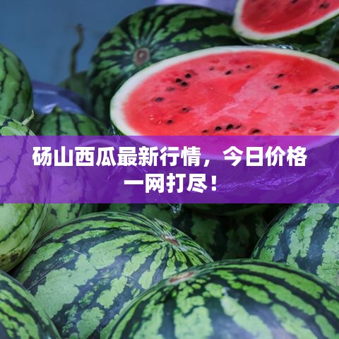 砀山西瓜最新行情,今日价格一网打尽!