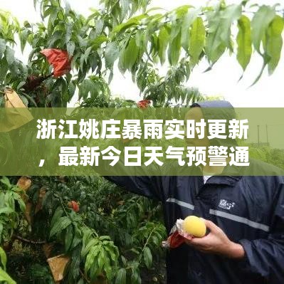 浙江姚庄暴雨实时更新，最新今日天气预警通知