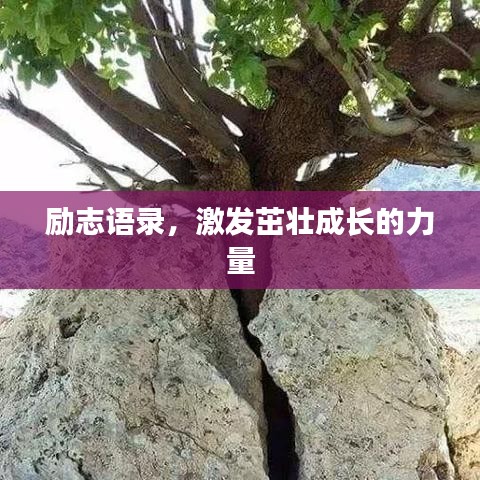 励志语录，激发茁壮成长的力量