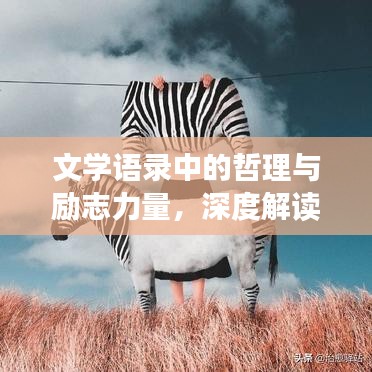 文学语录中的哲理与励志力量，深度解读人生智慧，激发无尽潜能