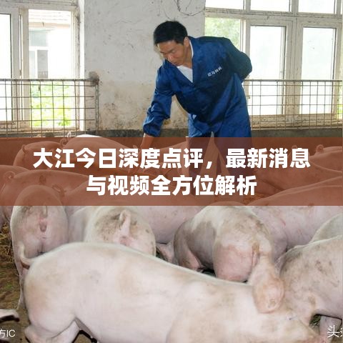 大江今日深度点评,最新消息与视频全方位解析