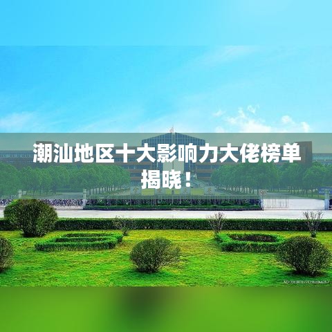 声如洪钟 第4页