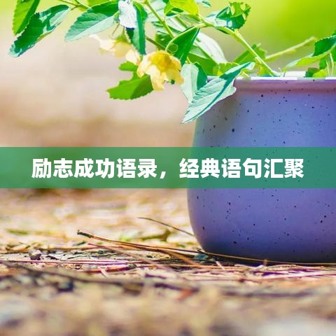 励志成功语录,经典语句汇聚