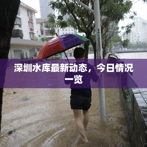 深圳水库最新动态，今日情况一览