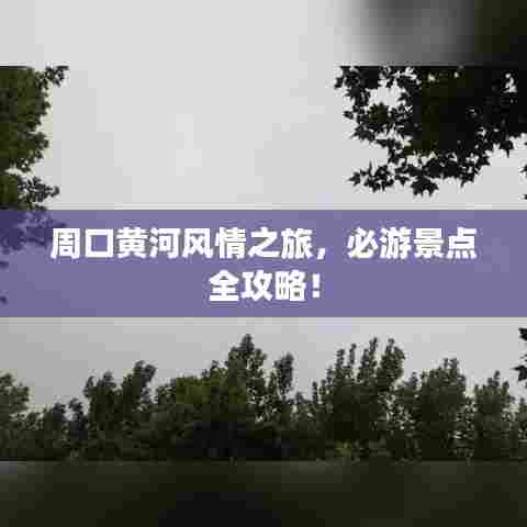 周口黄河风情之旅，必游景点全攻略！