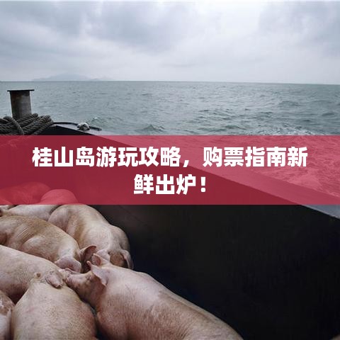 桂山岛游玩攻略,购票指南新鲜出炉!