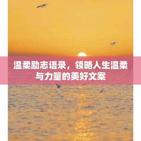 温柔励志语录，领略人生温柔与力量的美好文案