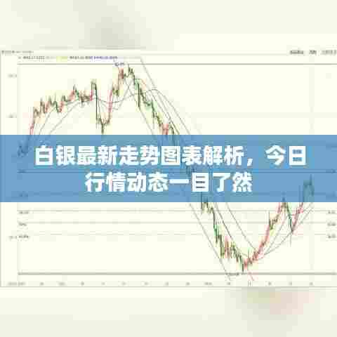 白银最新走势图表解析，今日行情动态一目了然
