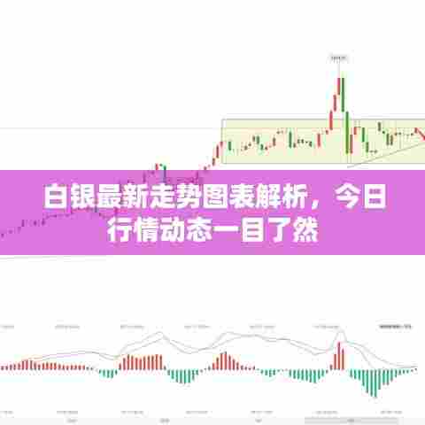 白银最新走势图表解析,今日行情动态一目了然