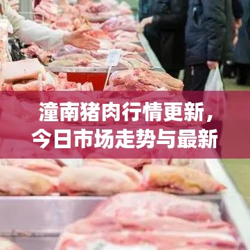潼南猪肉行情更新，今日市场走势与最新消息