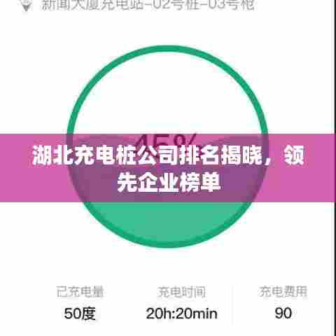 湖北充电桩公司排名揭晓,领先企业榜单