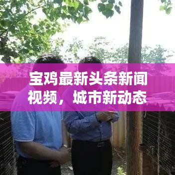 宝鸡最新头条新闻视频,城市新动态抢先看