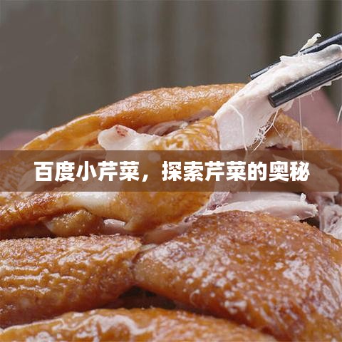 百度小芹菜,探索芹菜的奥秘