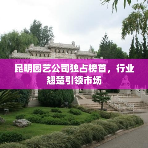 昆明园艺公司独占榜首,行业翘楚引领市场