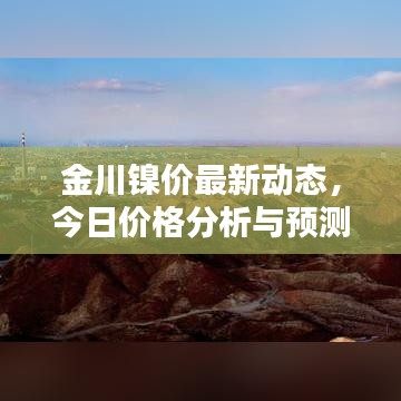 金川镍价最新动态,今日价格分析与预测