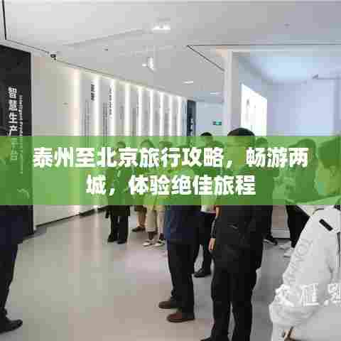 泰州至北京旅行攻略,畅游两城,体验绝佳旅程