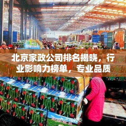 北京家政公司排名揭晓,行业影响力榜单,专业品质与服务一览无遗!