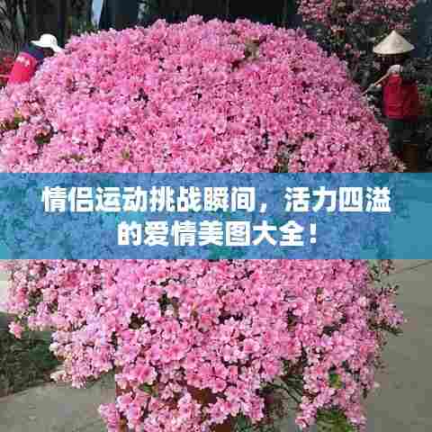 情侣运动挑战瞬间，活力四溢的爱情美图大全！